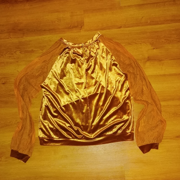 Velvet long sleeved lace sleeves.  The color is brick. - Picture 7 of 9